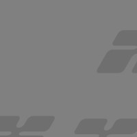 Donec non enim in turpis